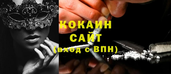 хмурый Арсеньев