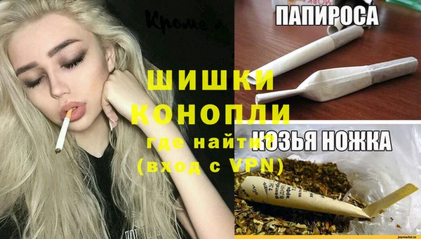 хмурый Арсеньев