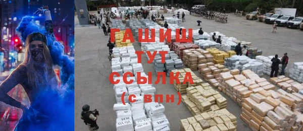 хмурый Арсеньев