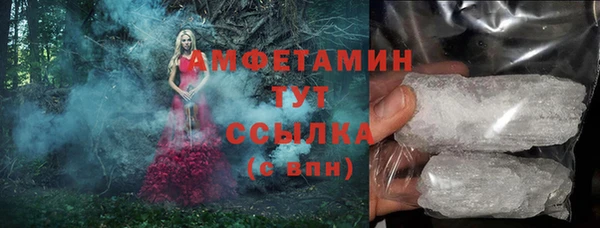 хмурый Арсеньев