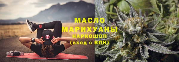 хмурый Арсеньев